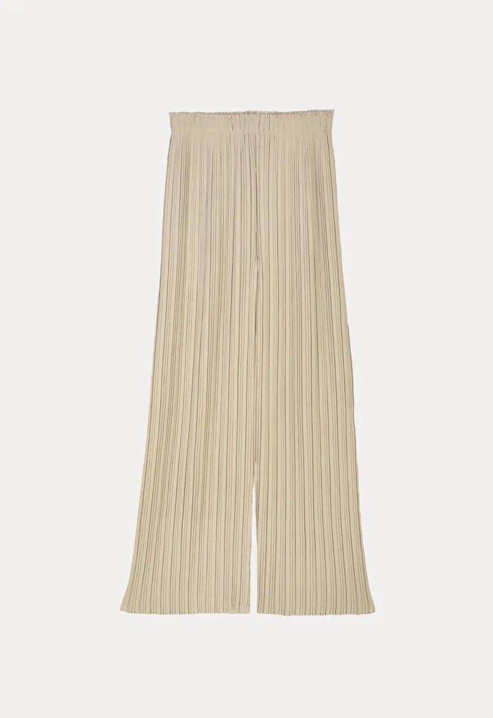 Pleated Wide Leg Solid Trouser